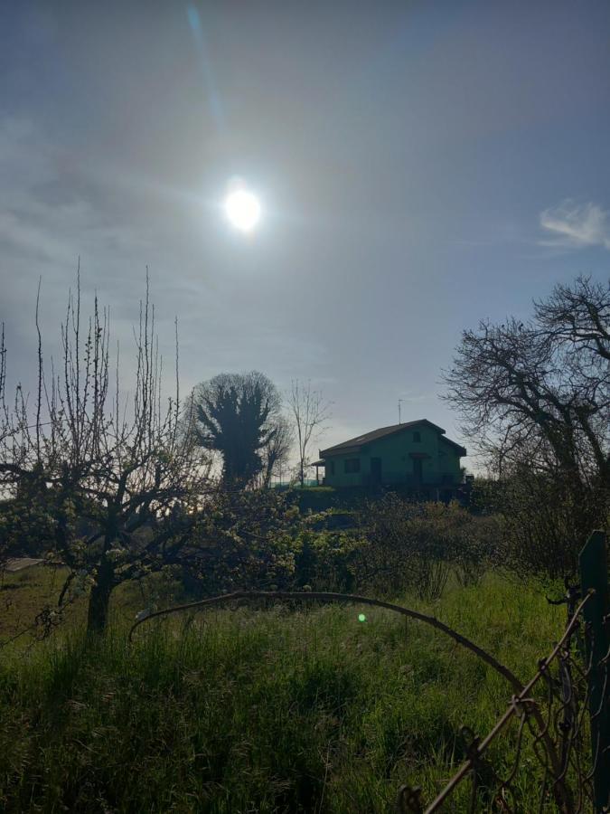 Willa Etna Green House Zafferana Etnea Zewnętrze zdjęcie